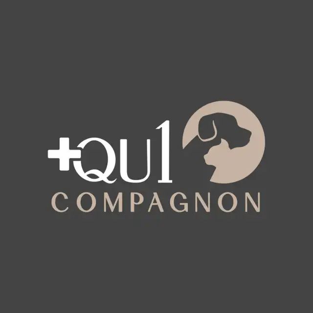 Plus qu'un compagnon